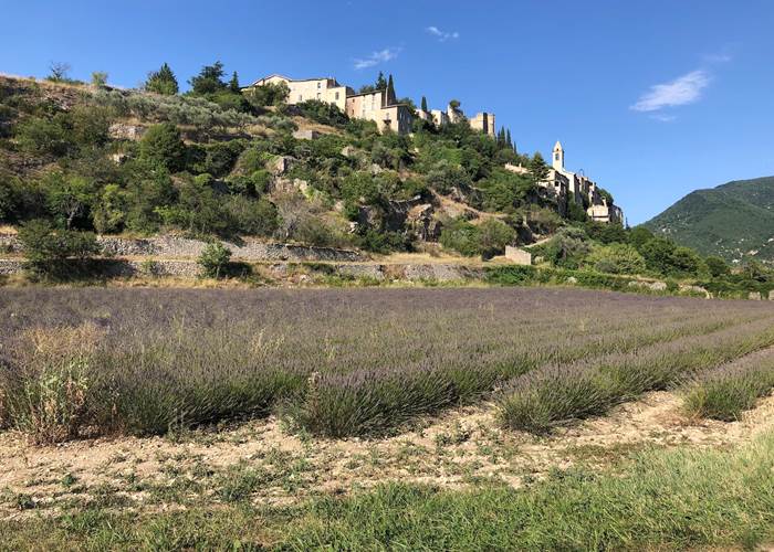 montbrun_lavande-page