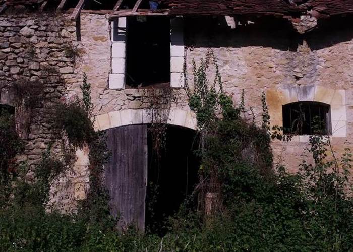 Sans titre