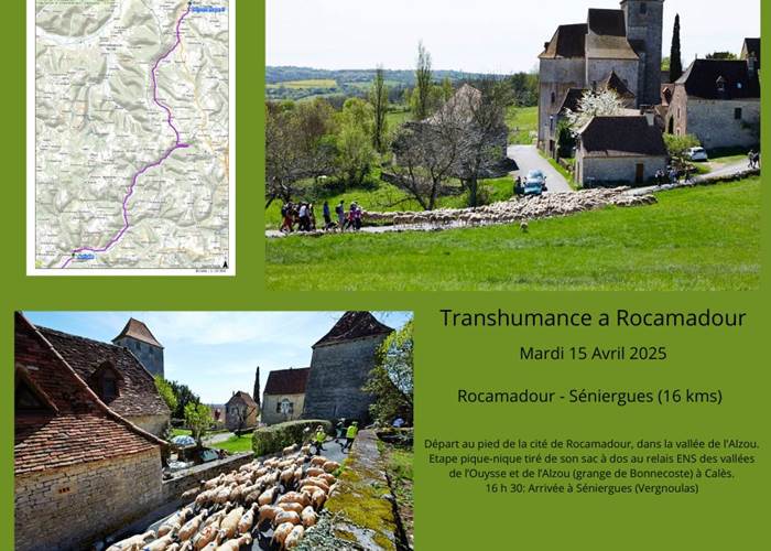 Transhumance
