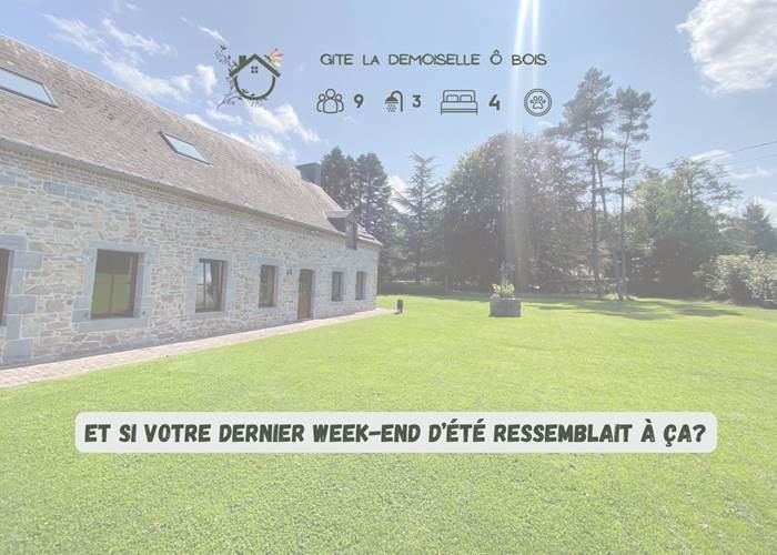 les activités de la Demoiselle ô bois