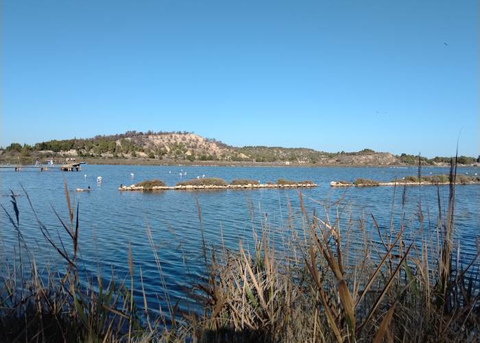 Etang de Peyriac de Mer