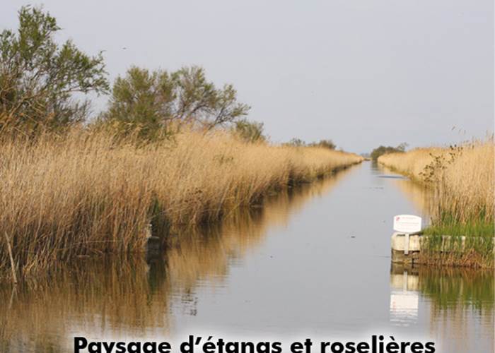 Sans titre