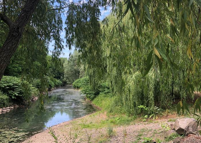 Les bords de l'Allier