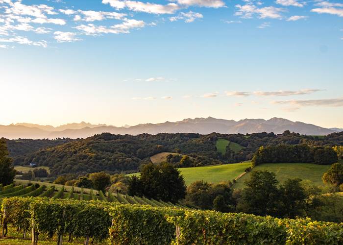 Le Vignoble du Jurançon