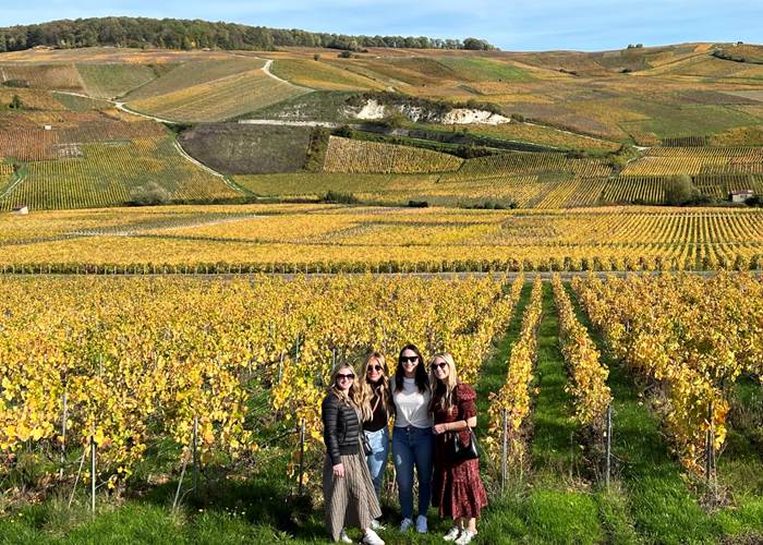 Expérience oenotouristique en Champagne
