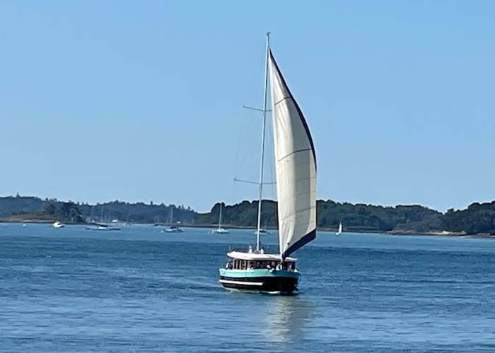 Bateau électrique dans le golfe