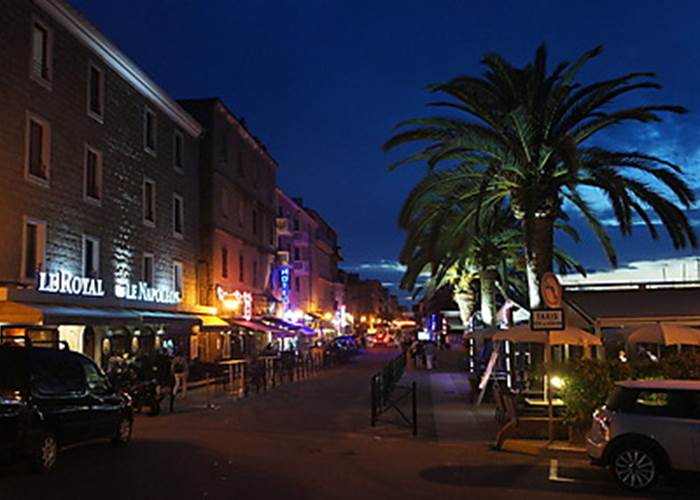 AVENUE NAPOLEON