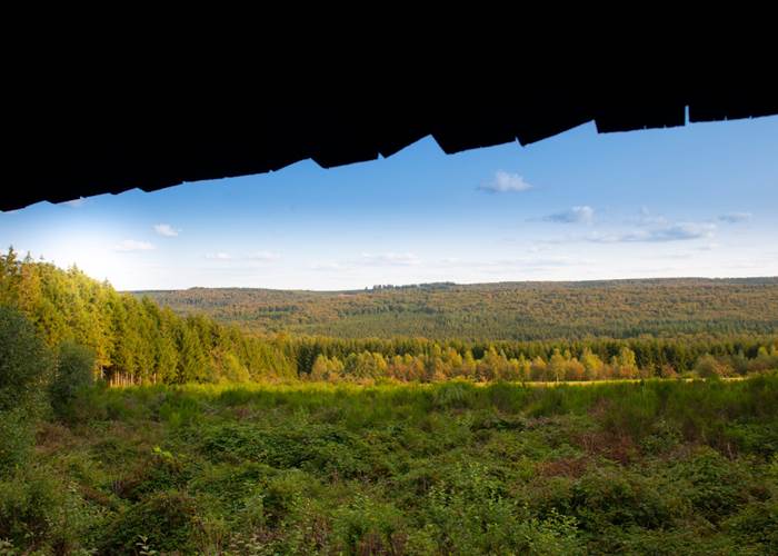 dbcreation.be - Vue de la Forêt de Saint-Hubert