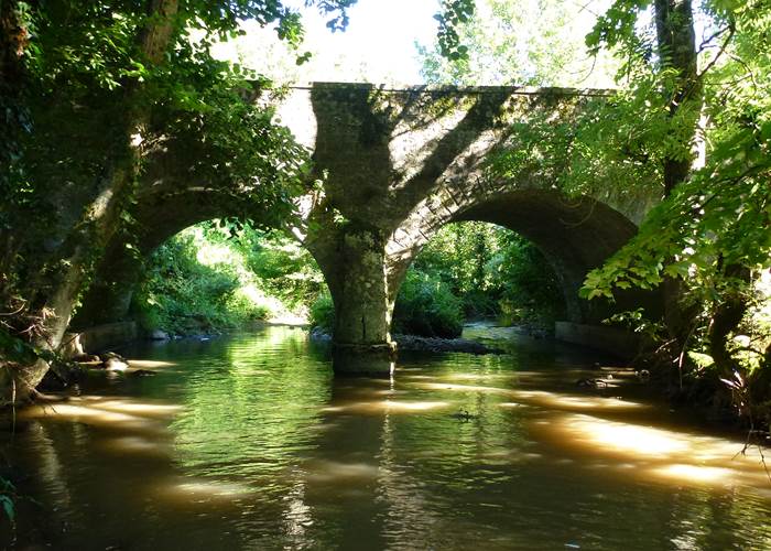 Entendre l'eau d'une rivière, ses bienfaits sur notre cerveau