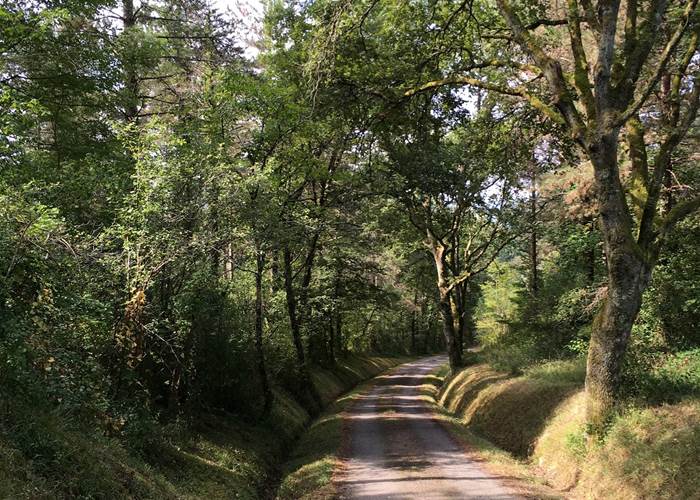 Au bout du chemin ... le bonheur.