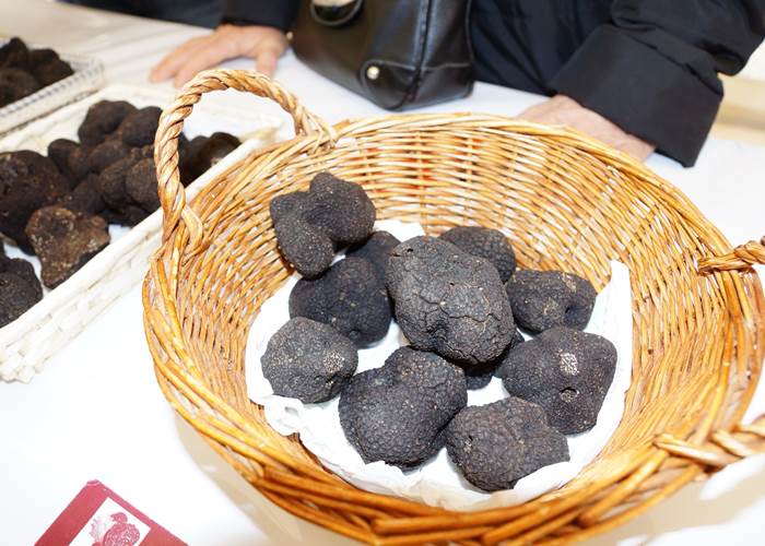 Truffes- Périgord-tuber-mélanosporum