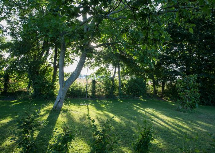 aux3nidsfleuris.magnolia