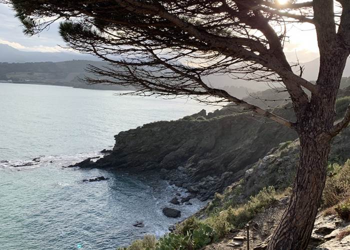 Sur le sentier du littoral