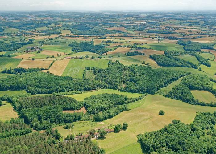 La nature à perte de vue