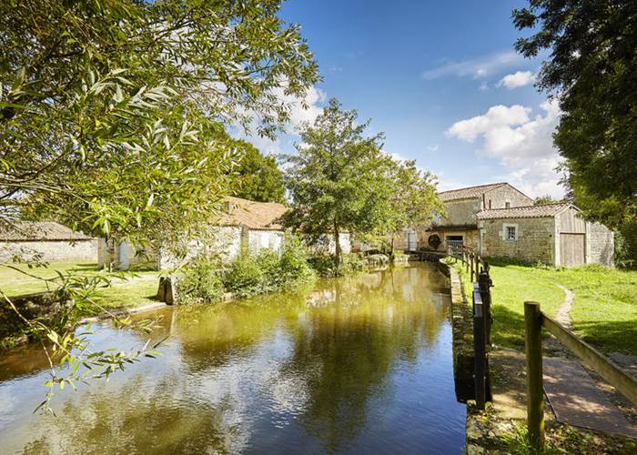 Parc du Vignaud Nieul sur l'Autise - Copyright Alexandre Lamoureux