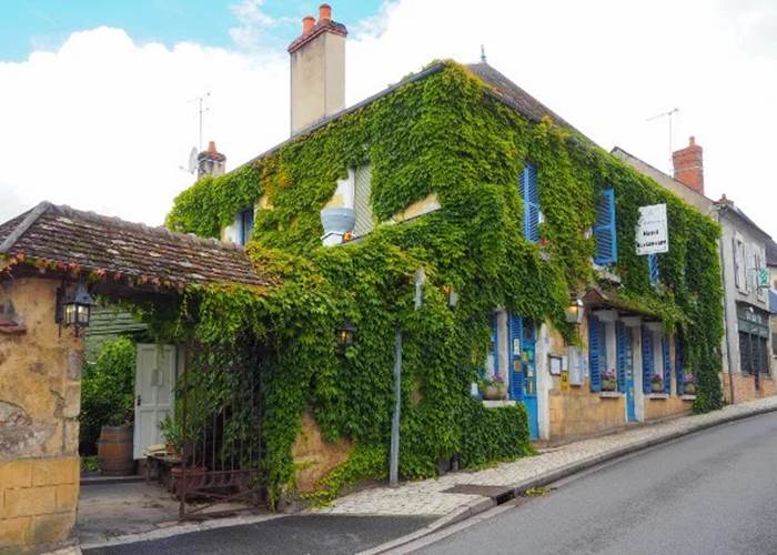 Le Laurier à Saint Satur