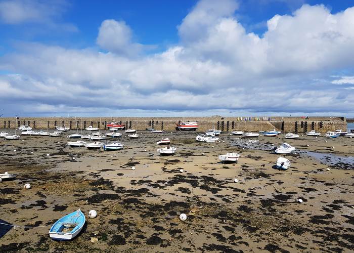 Le port de Roscoff à marée basse par Le Colombier Bretagne