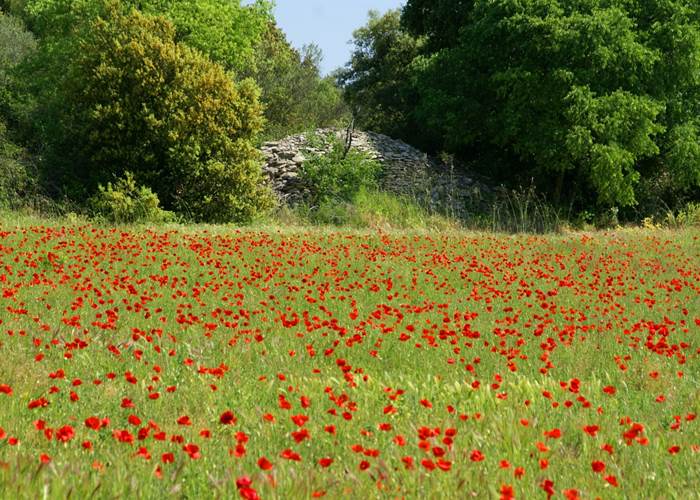 ©Gard Tourisme