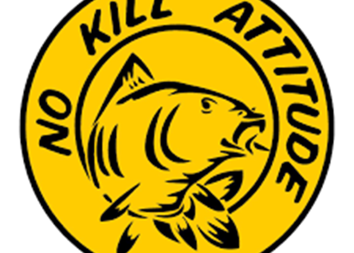 pêche no kill