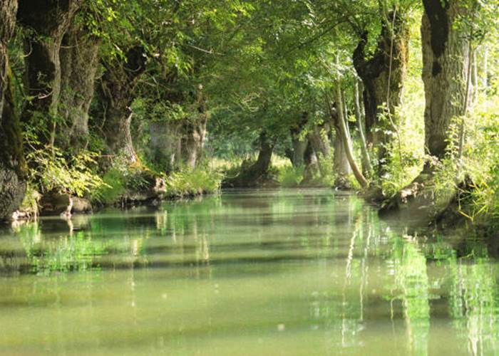 Marais Poitevin-Conches-Belle demeure-séjour