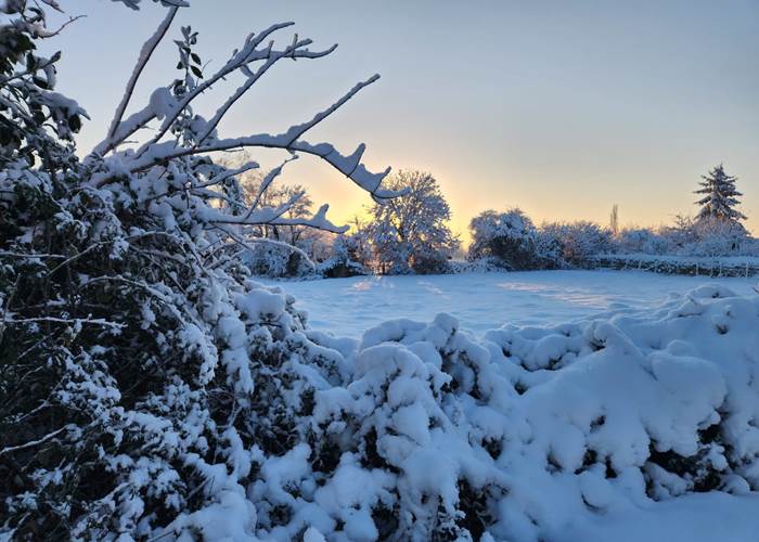 L'Enclos bleu sous la neige