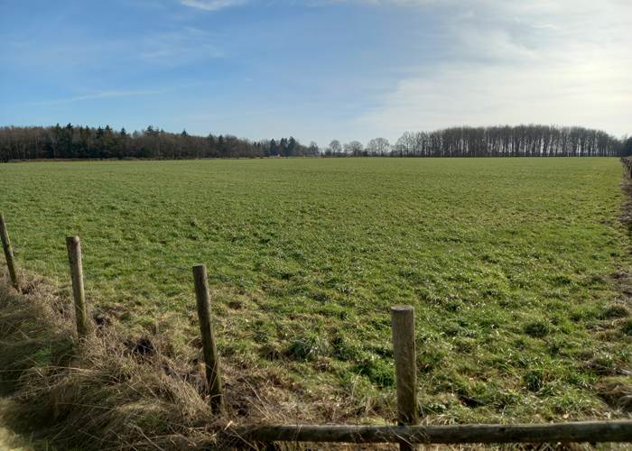 Bel espace vert lors d'une balade de +/- 8kms à partir du gîte