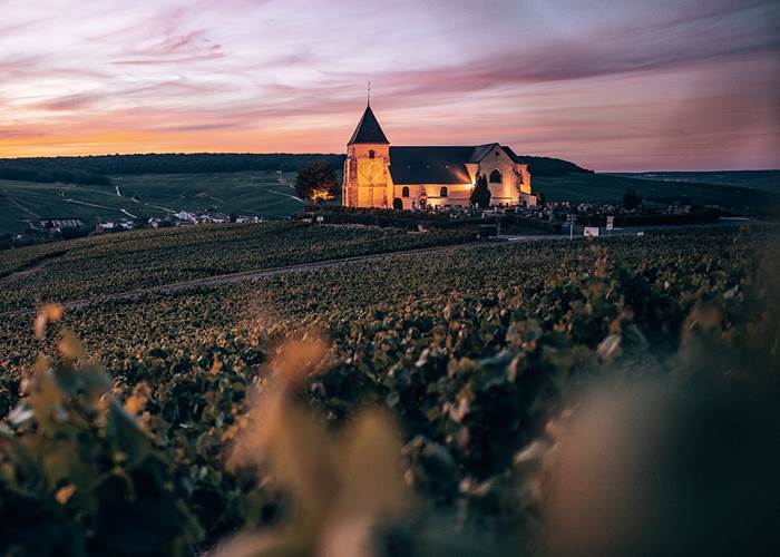 Ecotourisme en Champagne