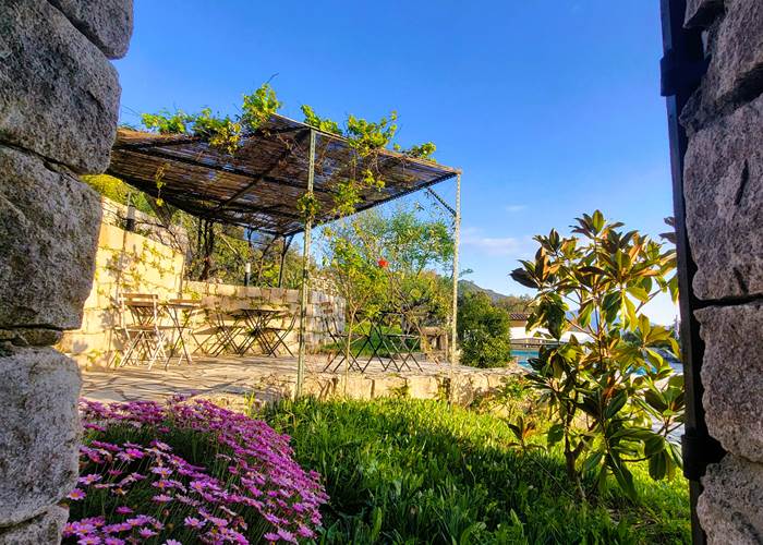 Chambre avec Vue Panoramique & Pergola / Domaine Cardu Corse