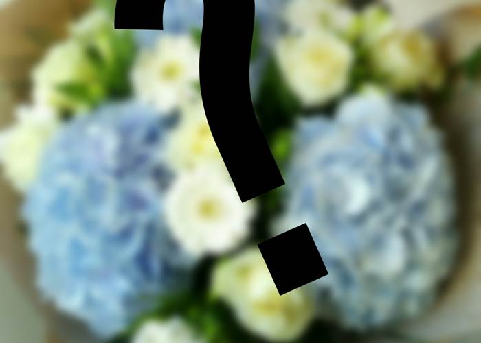 Bulle de Fleurs- Bouquet surprise =  30€