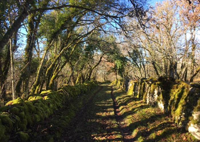 Chemin de balade au Bastit