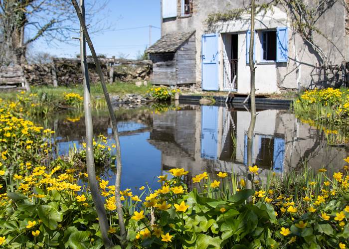 etang-fleurs-maison-hotes-aveyron.jpg