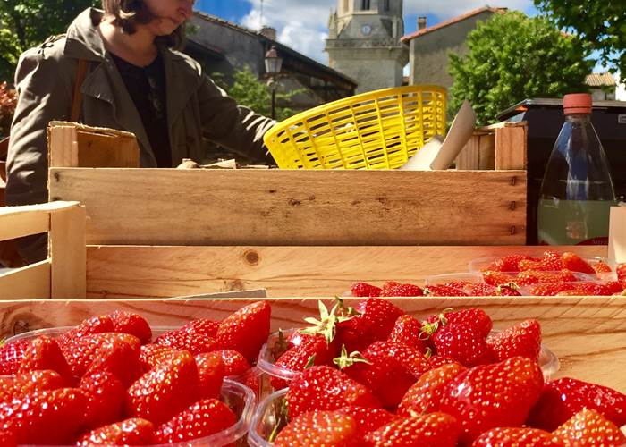 LARRAZET - Floralies et marché aux saveurs