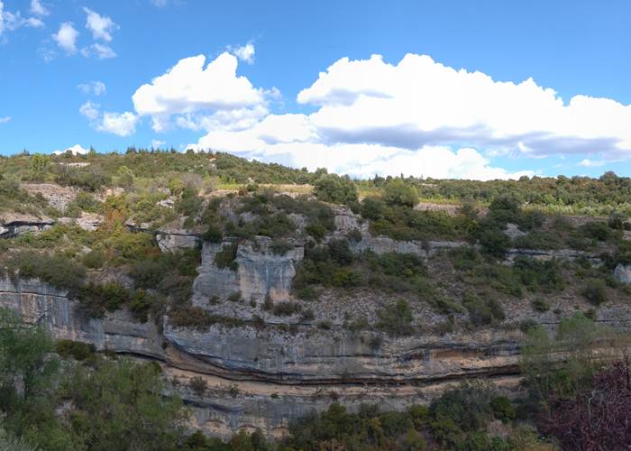 Minerve