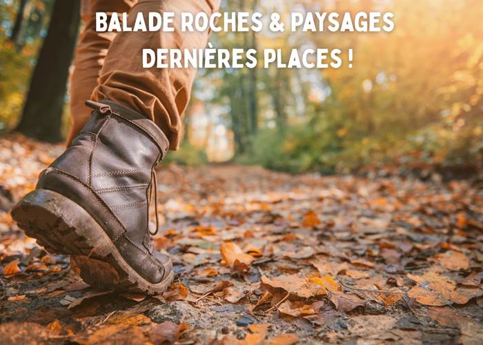 balade-nature-geopark-ardenne