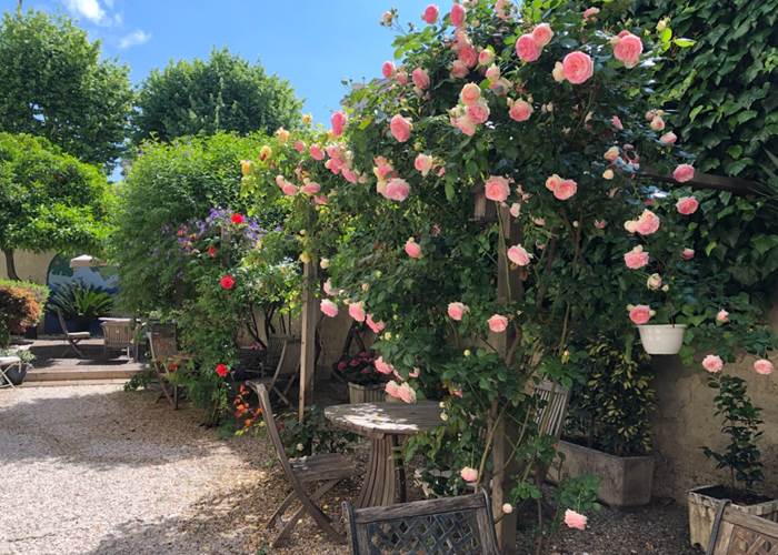 le jardin du Nice Garden Hotel