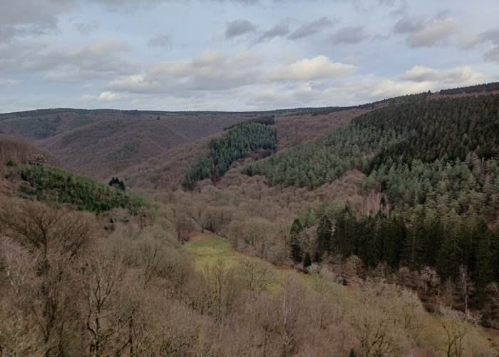 Point de vue à la fin de la promenade
