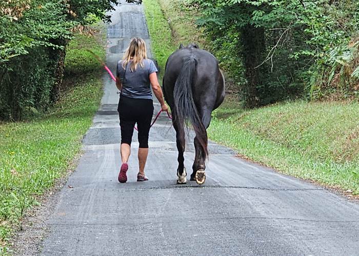 séjour avec son cheval