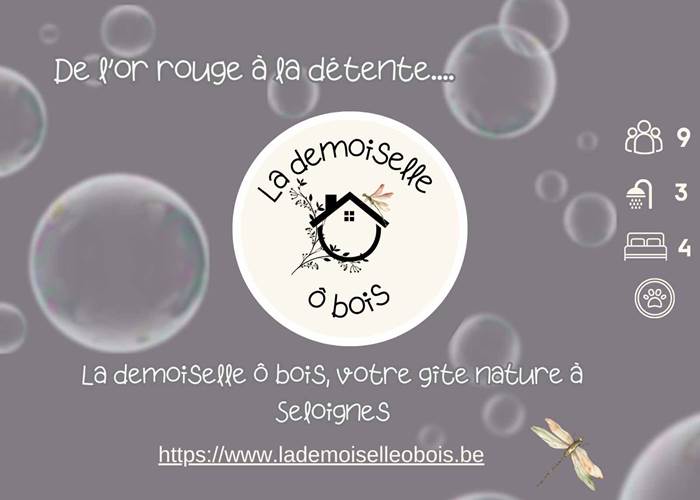 L'or rouge et la Demoiselle ô bois