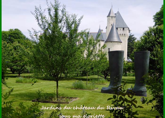Rivau