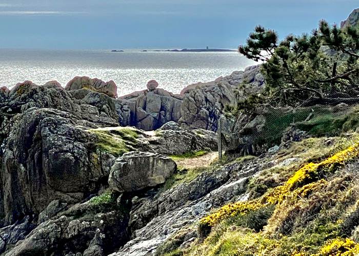 619FDD93-36FD-42FD-8940-F3C159E758A9