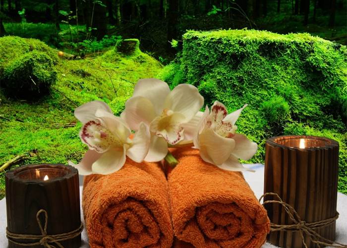 plant-flower-relax-balance-rest-relaxing-751339-pxhere.com