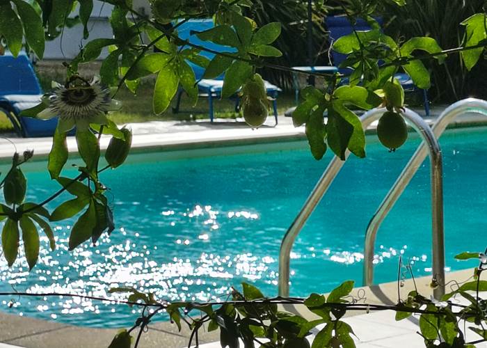 La piscine chauffée se découvre au détour des massifs fleuris.
