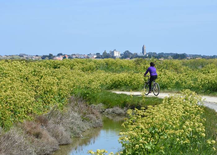 Balade à vélo