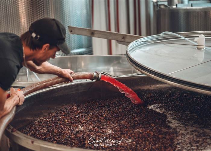 La vinification des vins rouges