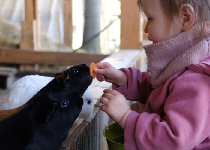 DECOUVERTE ENFANTS