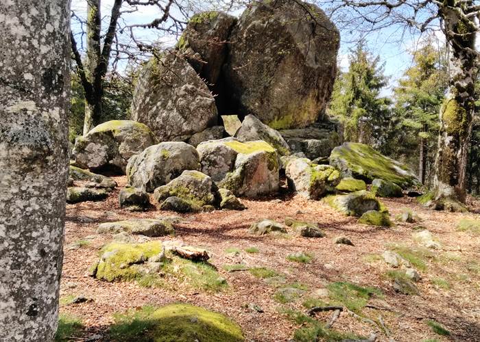 La Pierre des Druides à la Loge des Gardes