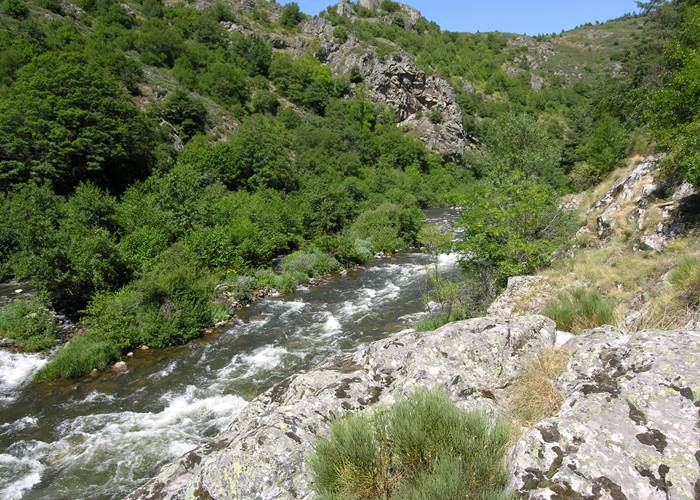 Canoë kayak dans les gorges de l'Allier