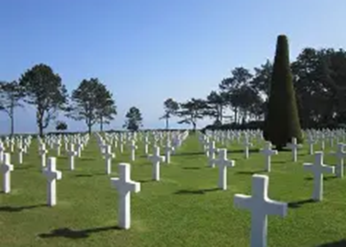 Sans titre