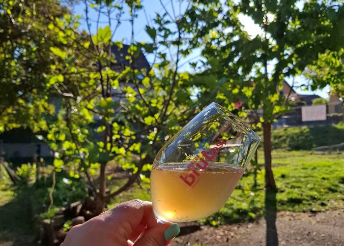Apéro gourmand et vins bio d’Alsace chez un vigneron indépendant