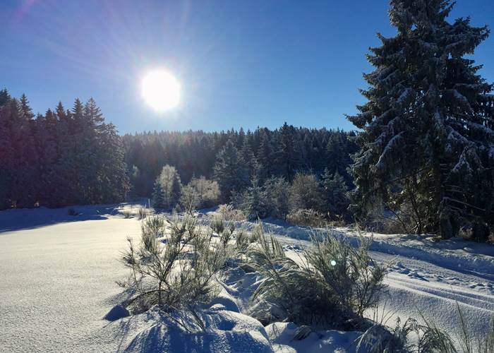 Montagne enneigée, Vosges-page